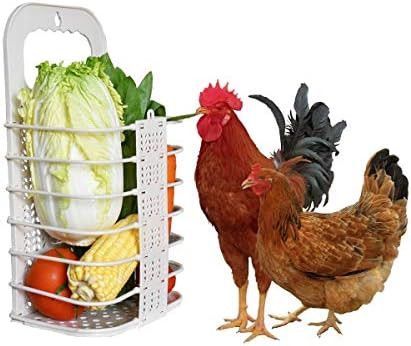 Chicken Vegetable Basket Chicken Veggie Ball Fruit Veggie Hanging Feeder Toy for Hens Chicken Coo... | Amazon (US)