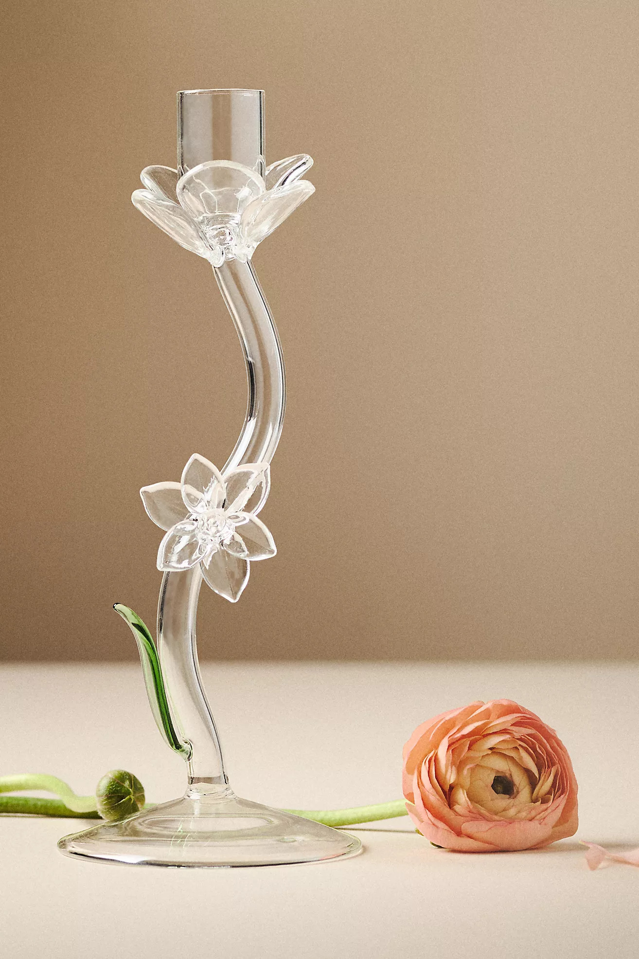 Ivie Glass Candle Holder | Anthropologie (US)