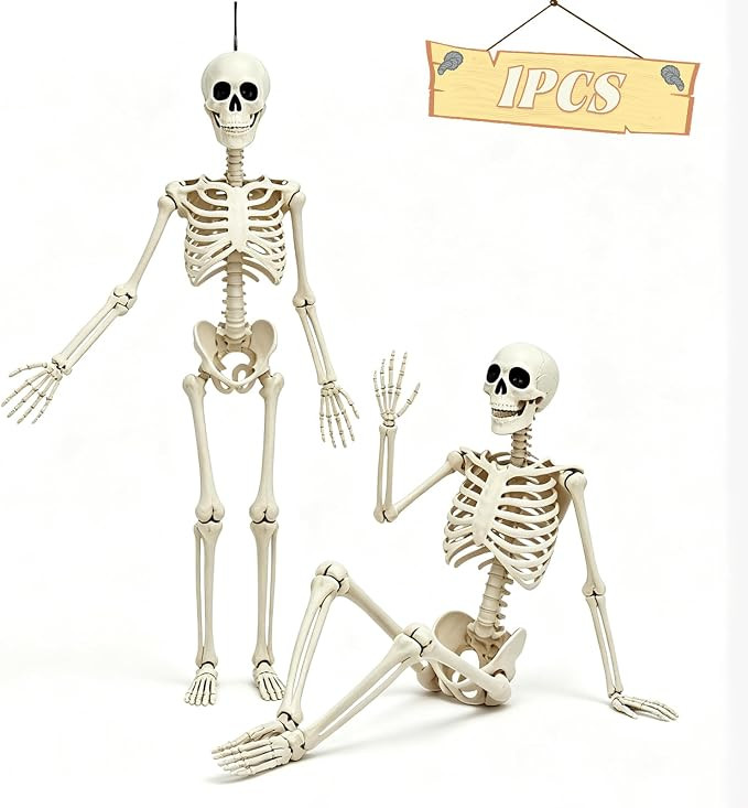 5.75ft Life Size Posable Halloween Skeleton, Movable Joints | Amazon (US)