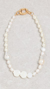 Click for more info about SHASHI
