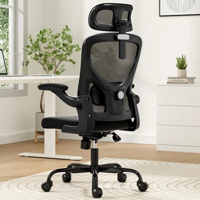 Ergonomic Office Chair, Home Office Desk Chair with Headrest, High Back Computer Chair with Armrests and Adjustable Lumbar Support for Home Office Stu | Wayfair North America