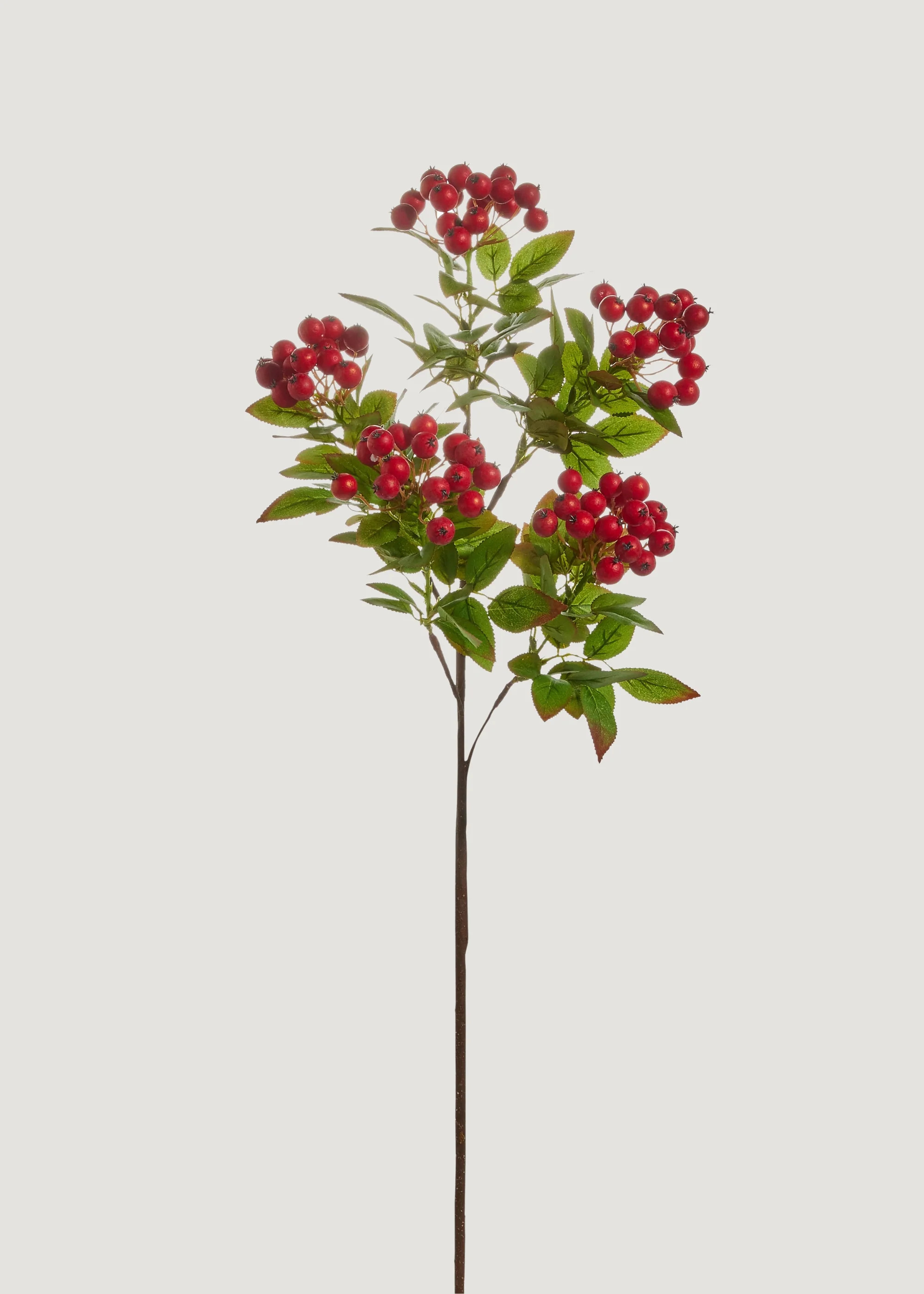 Red Berry Cluster Branch | Artificial Holiday Berries | Afloral | Afloral