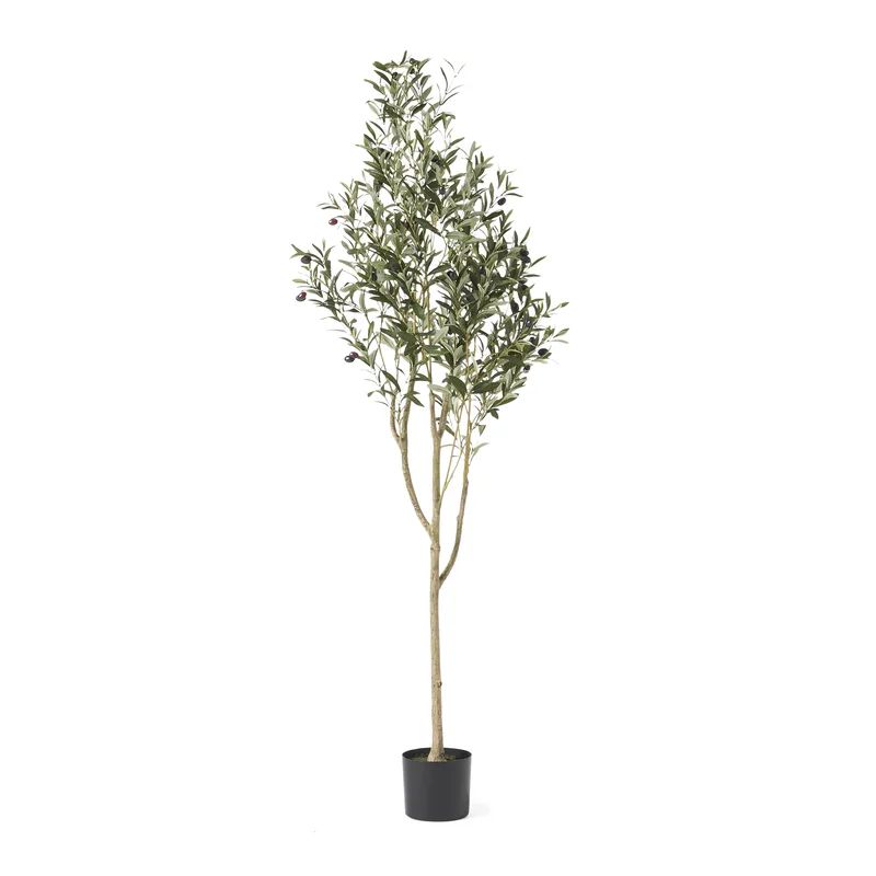 Aarav Artificial Olive Tree in Pot | Wayfair North America