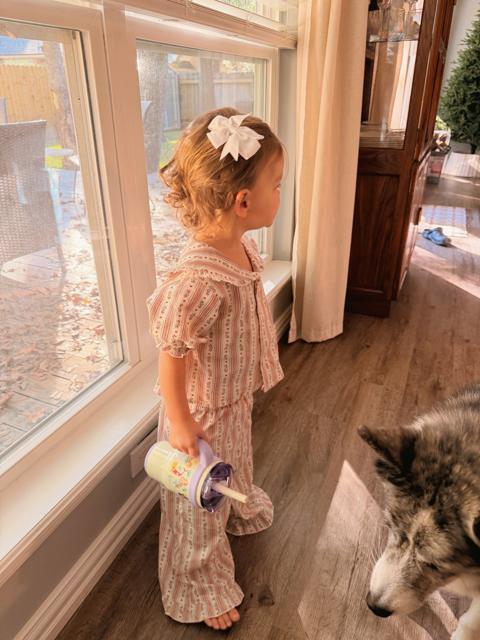 Toddler ruffle collar Christmas pajamas 

#LTKKids #LTKHoliday #LTKGiftGuide