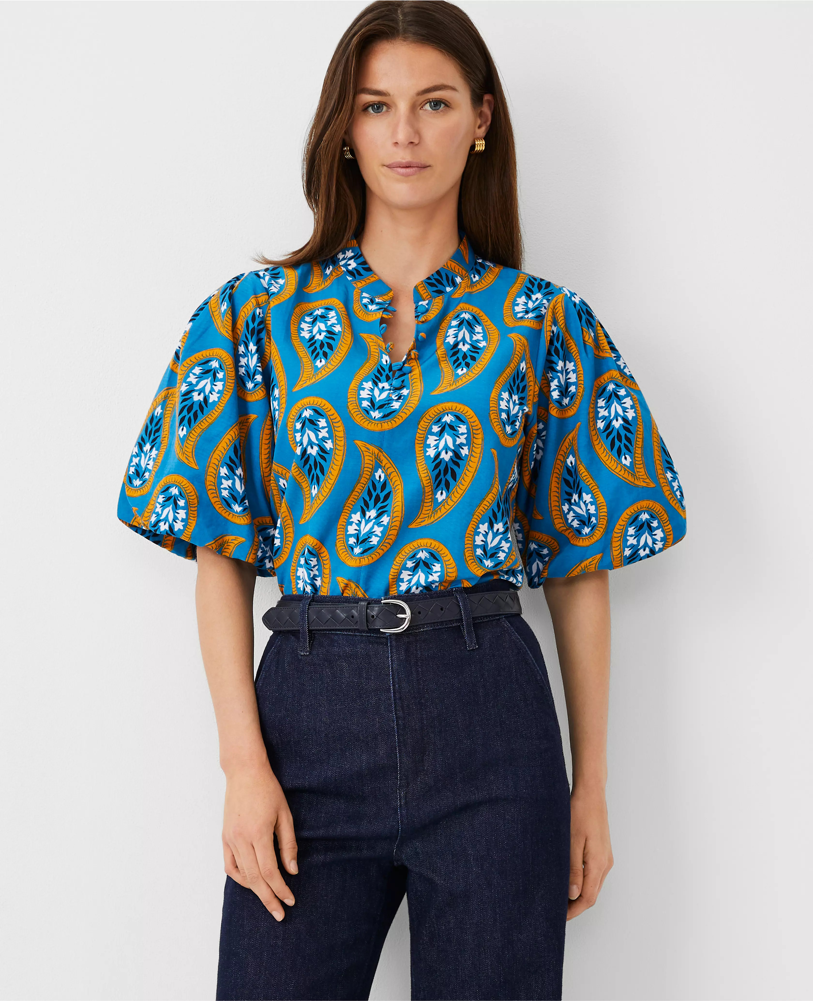 Floral Pleat Sleeve Popover | Ann Taylor (US)