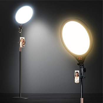Ring Light with Stand, 14" Professional LED Camera Lighting for Video Recording, Adjustable Heigh... | Amazon (US)