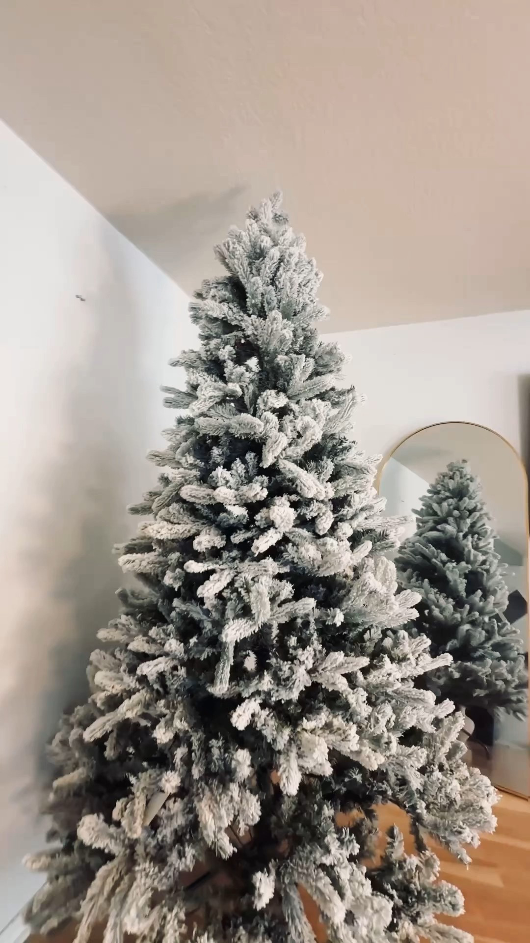 Unboxing my new King of Christmas Tree 