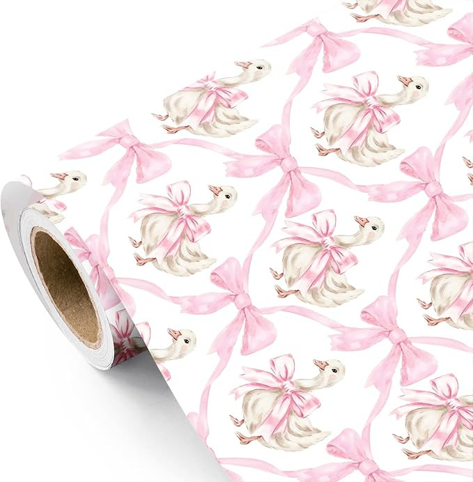 WRAPAHOLIC Silly Goose Easter Wrapping Paper Roll - 17 Inch x 16.5 Feet - Cute Silly Goose and Pi... | Amazon (US)