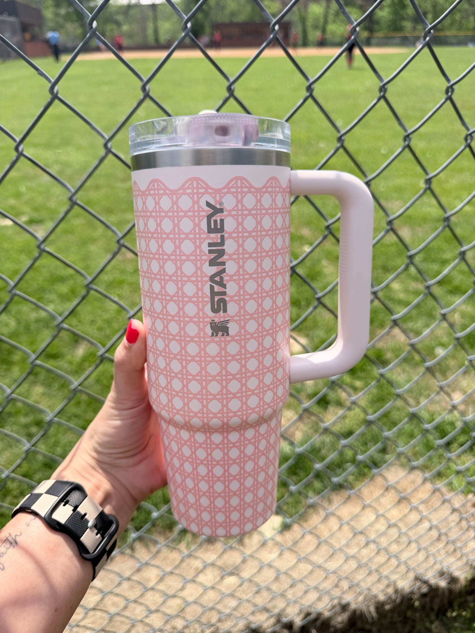 Softball and the new picnic collection  go hand in had! #stanleypartner @Stanley_Brand 

#LTKmomlife #LTKdayinmylife #LTKselfcare