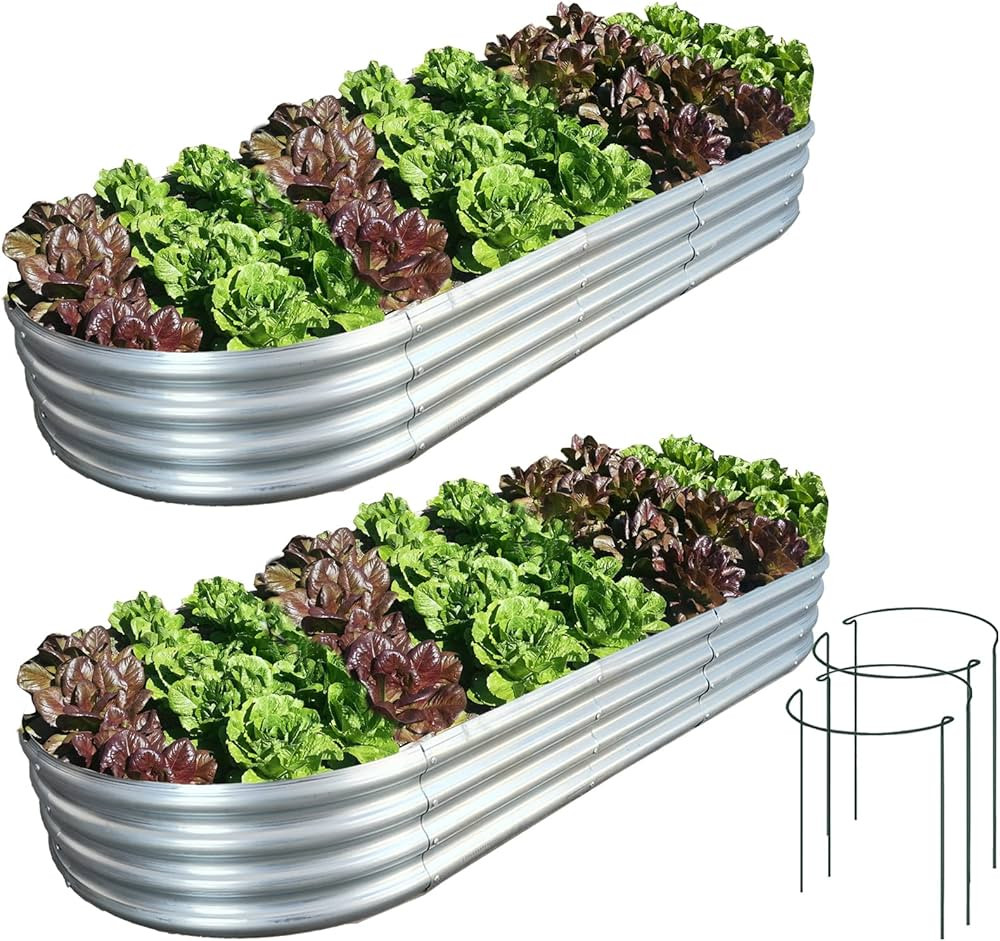 Galvanized Raised Garden Bed, 2 Pcs 8×3×1ft Raised Garden Boxes, Outdoor Galvanized Planter Box... | Amazon (US)