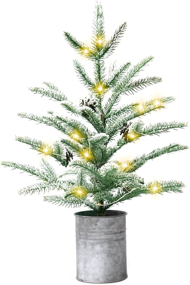 Small Christmas Tree 24 inch Mini Christmas Tree Pre-lit with 60 Lights Rustic Style Tabletop Tree 2 | Amazon (US)