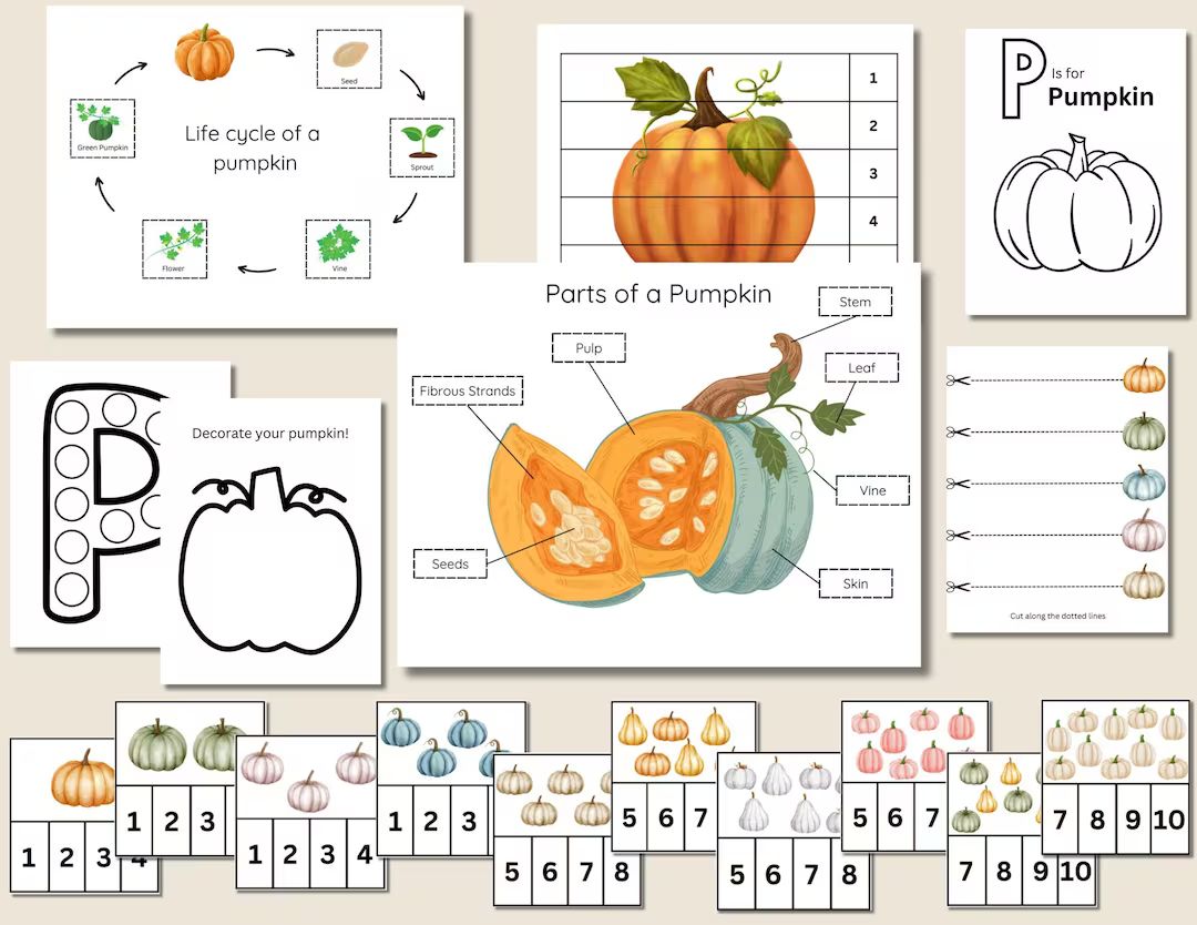 Pumpkin Activity Pack for Kids Printable Learning Bundle - Etsy | Etsy (US)