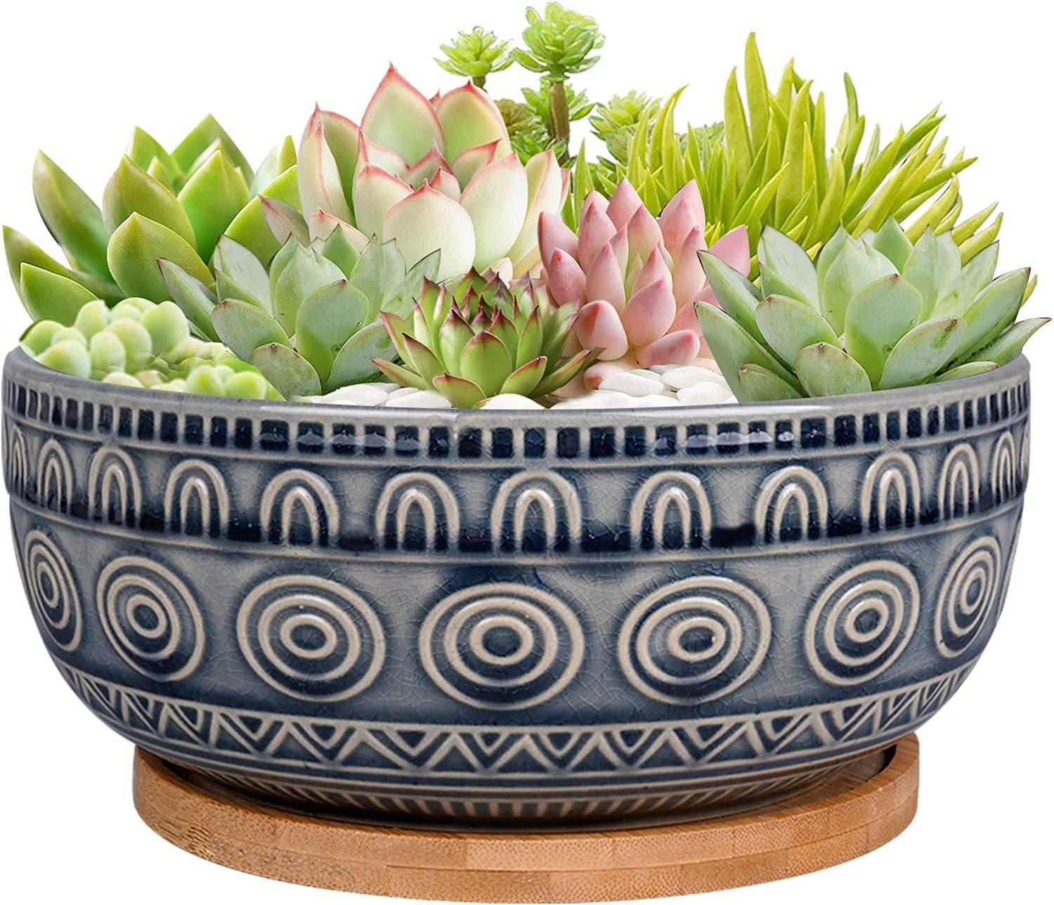 Eightpot 8 Inch Ceramic Succulent Planter Pot with Drainage Hole and Saucer Round Shallow Planter... | Amazon (US)