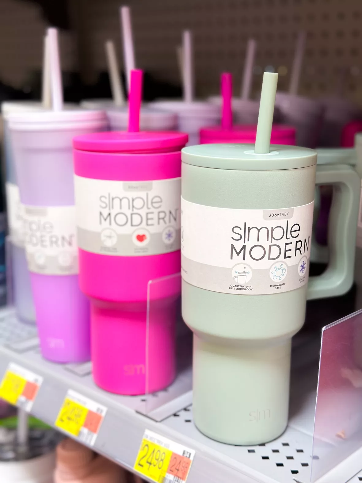Simple Modern 30 fl oz Insulated Stainless Steel Trek Tumbler with Straw  Lid|Raspberry Vibes