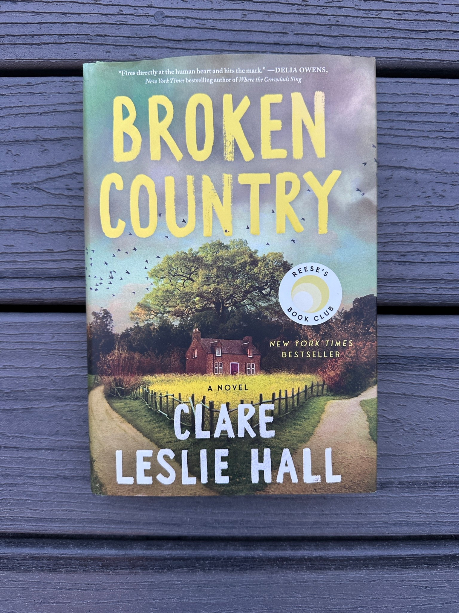 A must read book to pack in your beach bag on your next vacation!  A bestseller that’s worth the hype.  Great book for summer reading!

#LTKstorytime #LTKdayinmylife #LTKTravel