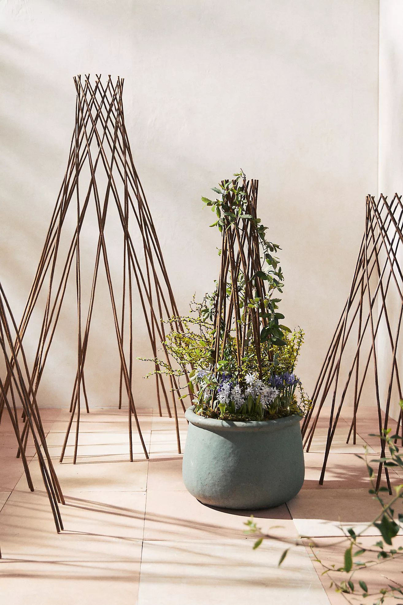 Woven Willow Cone Obelisk | Anthropologie (US)