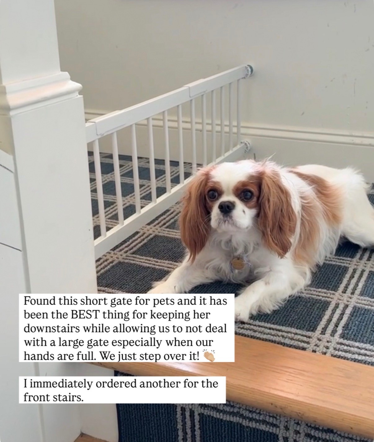 This short pet gate has been the best for keeping our dog from sneaking upstairs. I love it because we don’t have to deal with a bulky baby gate and can just step right over it, which is a game changer when our hands are full.

After setting it up on these stairs, I immediately ordered another one for our front steps  

#LTKHome