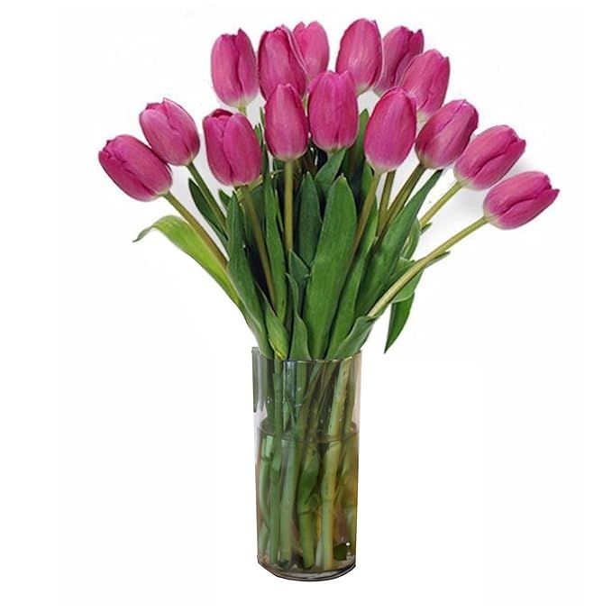 Stargazer Barn - Pretty In Pink - Fresh Tulips For Valentine's Day | Amazon (US)