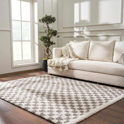 Kieu Taupe Checkered Area Rug | Boutique Rugs