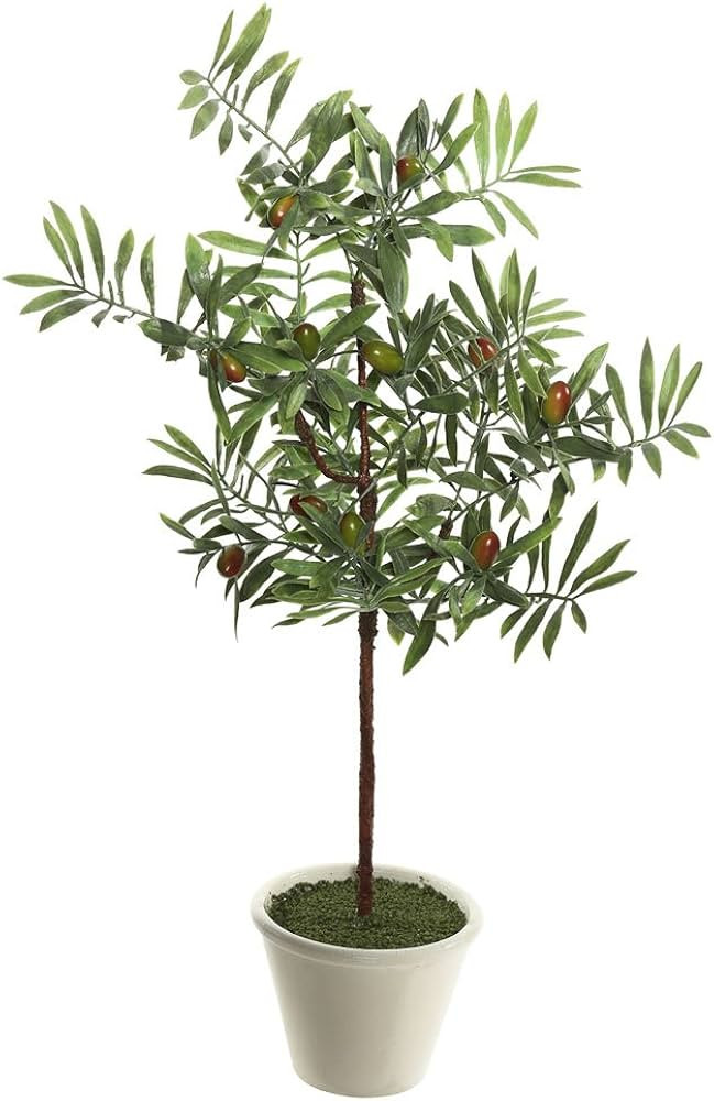 Vickerman Everyday Artificial Green Olive Hill Tree 27 Inch Tall - Lifelike Home Office Decor - P... | Amazon (US)