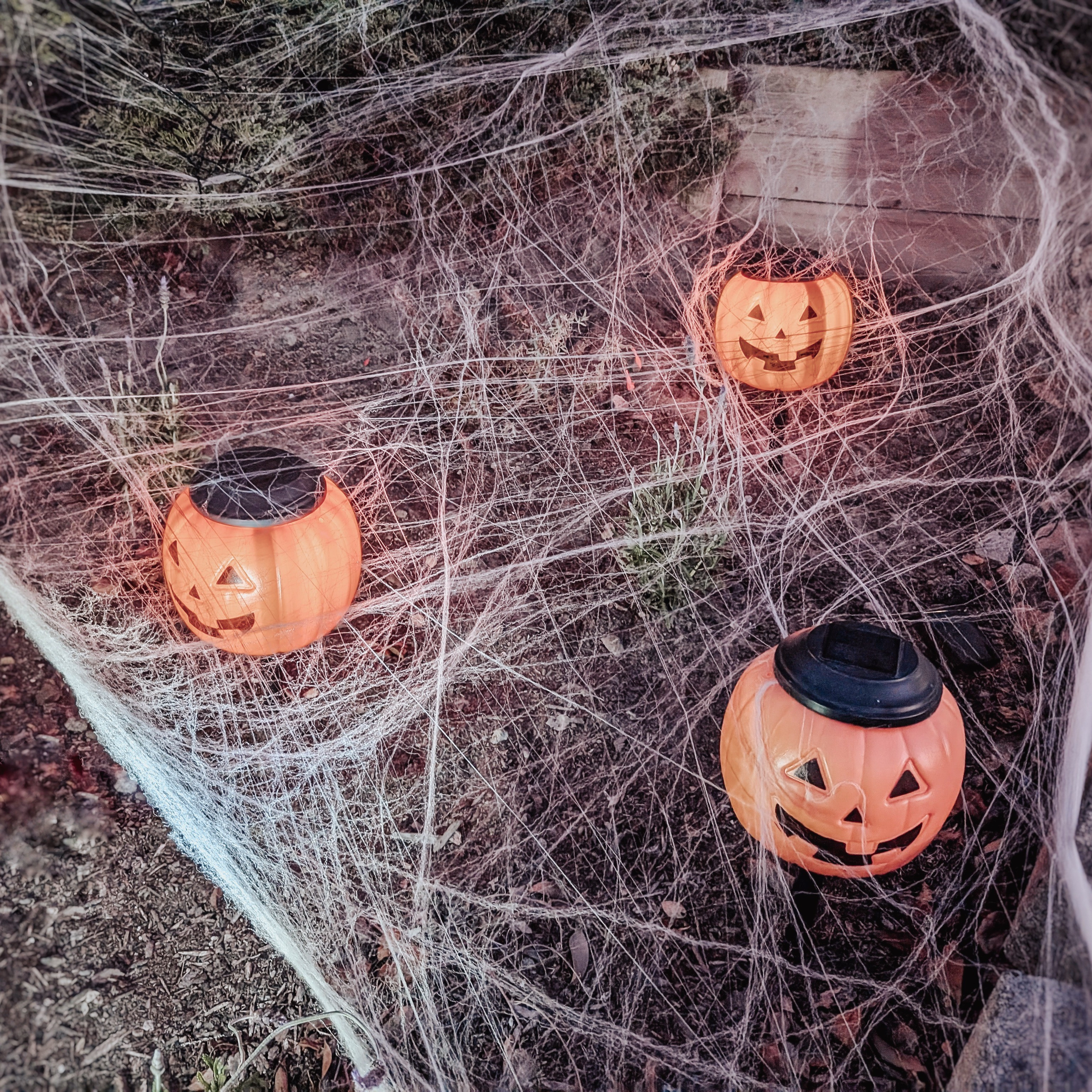 DIY outdoor solar pumpkinsSUPPLIES: 1) Solar lights with removable tops 2) Plastic pumpkin3) Drill HOW TO: 1) Drill a hole in the middle/bottom of the pumpkin2) Remove the pumpkin handle and place the light ground stake through the hole3) Secure the top of the solar light to the top of the light holder inside the pumpkin4) Place in your yard with access to plenty of sunlight

#LTKHalloween #LTKSeasonal #LTKHome