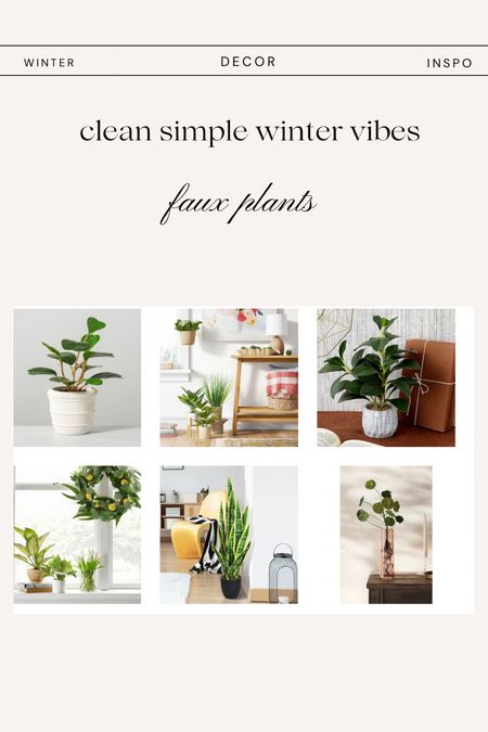 If real plants are not your thing, I got you! You can still enjoy greenery in the winter… curated a list of realistic faux plants from snake plants to fiddle leaf fig. Looks like target is having a sale on some of the beauties as well!

#LTKhome #LTKSeasonal #LTKsalealert