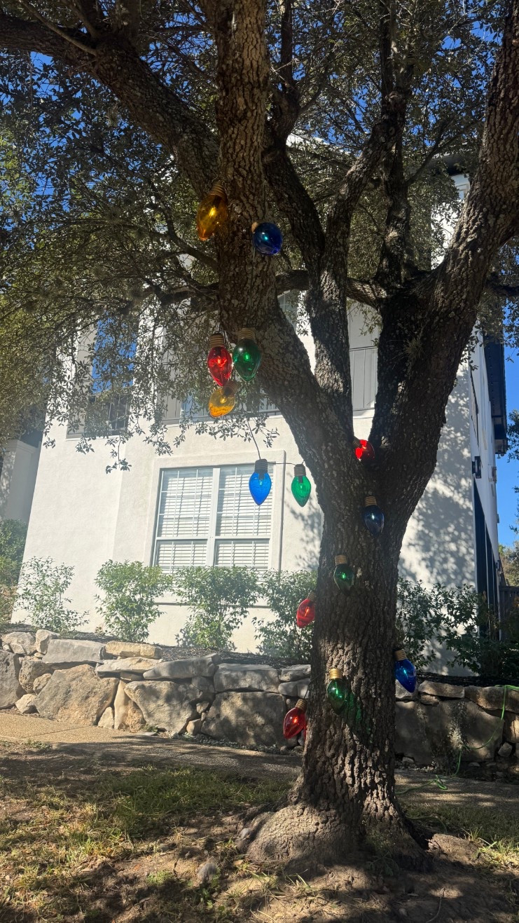 #LTKHoliday #LTKHome #LTKSeasonal