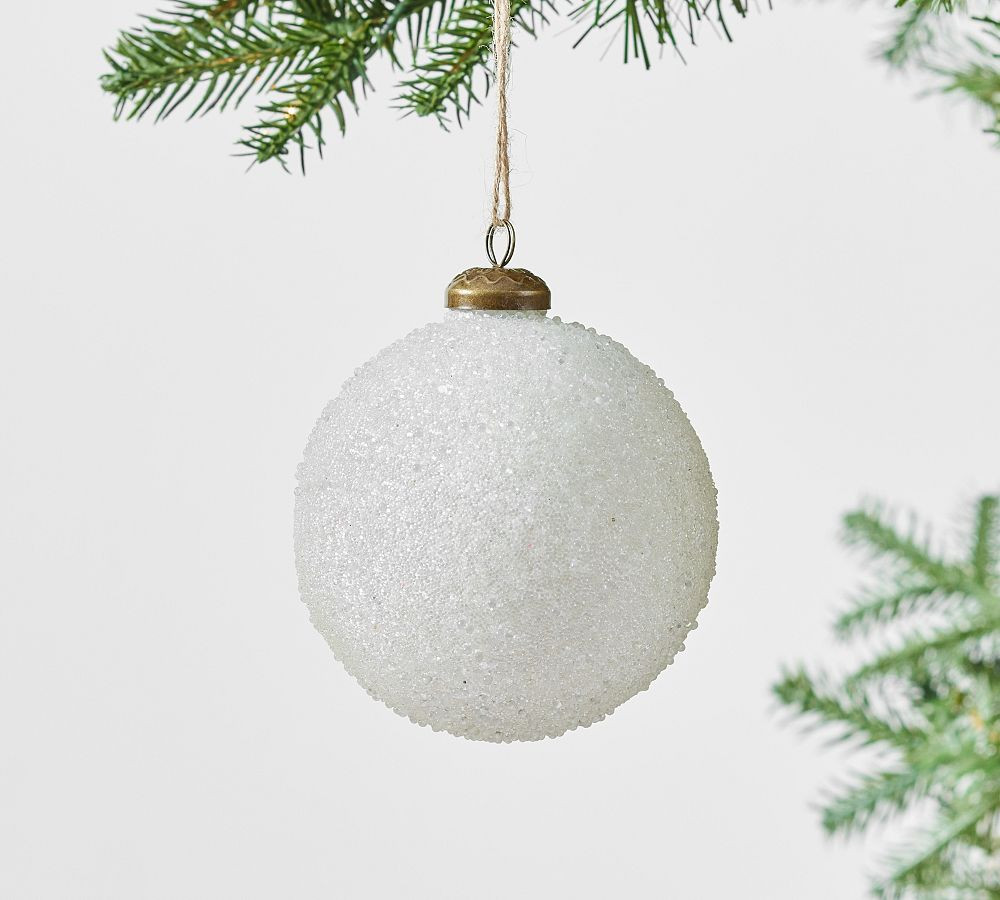 Caviar Crusted Ornaments | Pottery Barn (US)