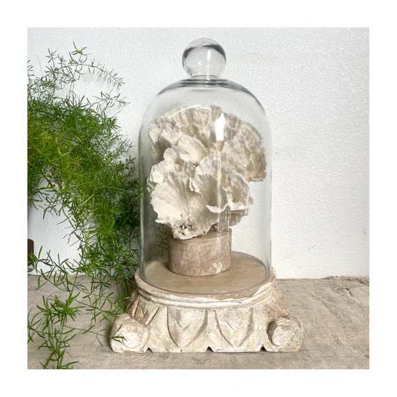 Glass Display Cloche Dome 16 - Etsy | Etsy (US)