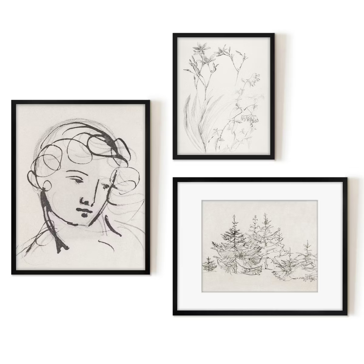 Americanflat 3 Piece Vintage Gallery Wall Art Set - Portrait Sketch, Pine Forest, Botanical Study... | Target
