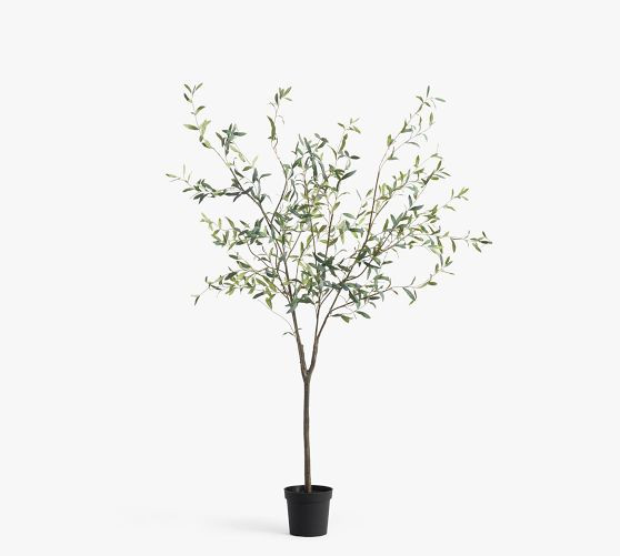 Faux Potted Olive Tree | Pottery Barn (US)