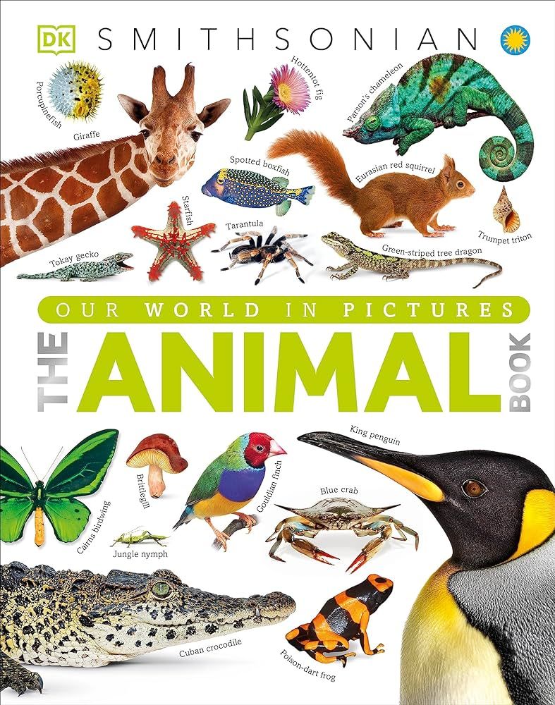 The Animal Book: A Visual Encyclopedia of Life on Earth (DK Our World in Pictures) | Amazon (US)