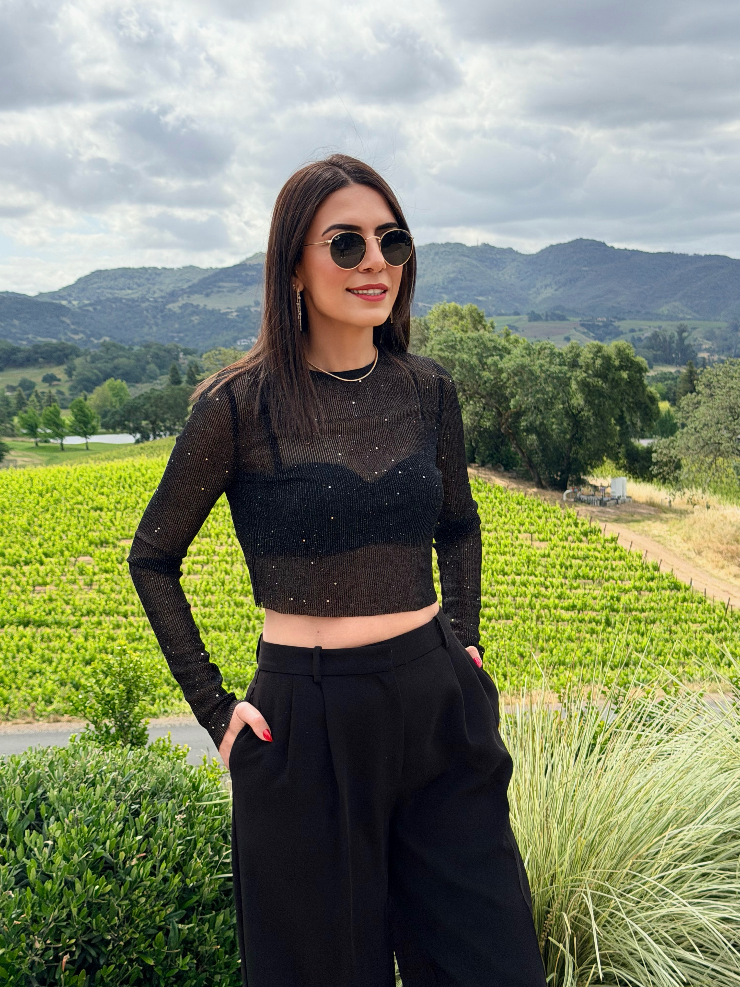 Sequin Sheer Crop Top - Black Wide Leg Pants - Bandeu Bra Top - Zara - Zara New In - All Black Outfit  

 #LTKootd #LTKWorkwear #LTKTravel