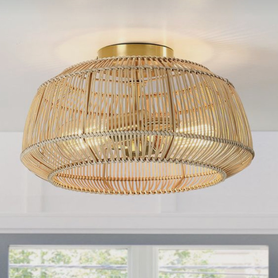Light Fixture