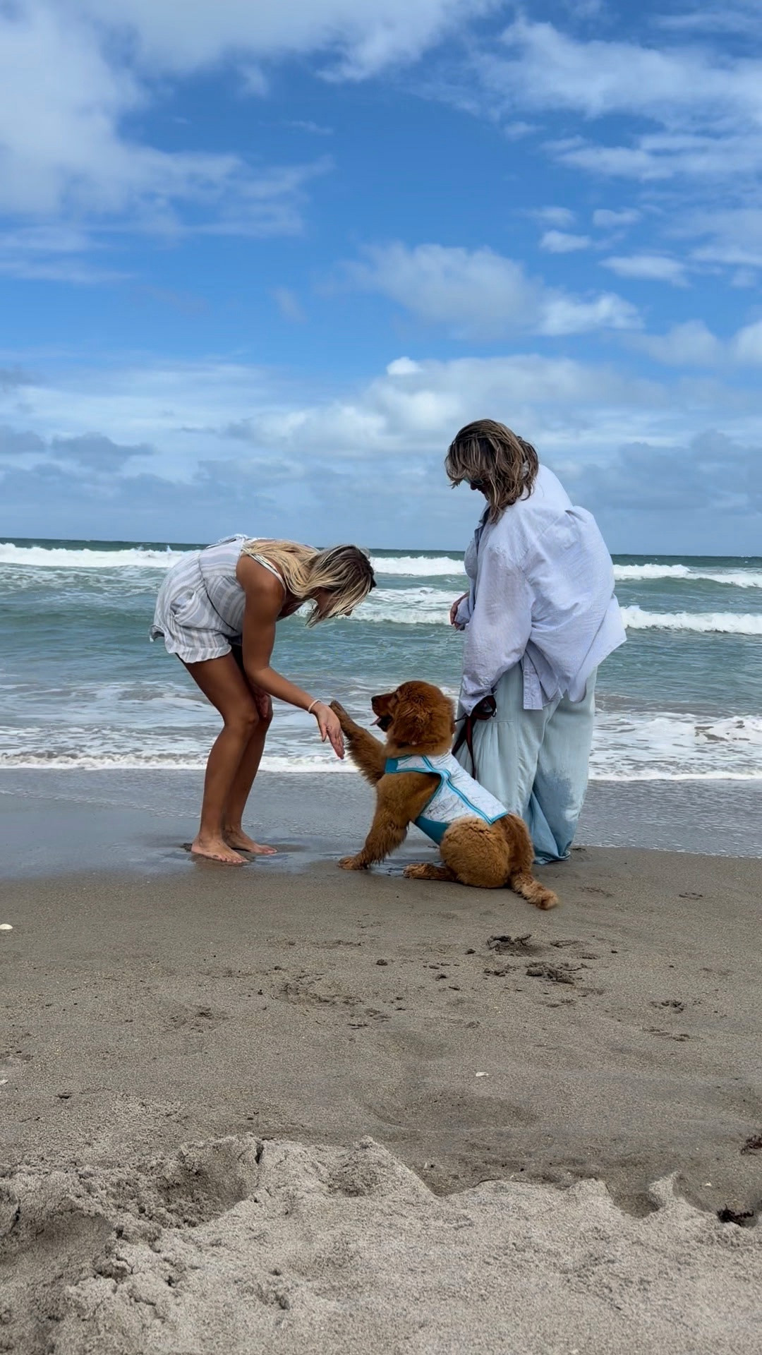This may be the cutest, most wholesome thing I’ve ever seen🥹🫶🩵 @Bindi 🐾

#ocean #florida #puppy #oceangirl #dog 

#LTKootd #LTKTravel #LTKvlog