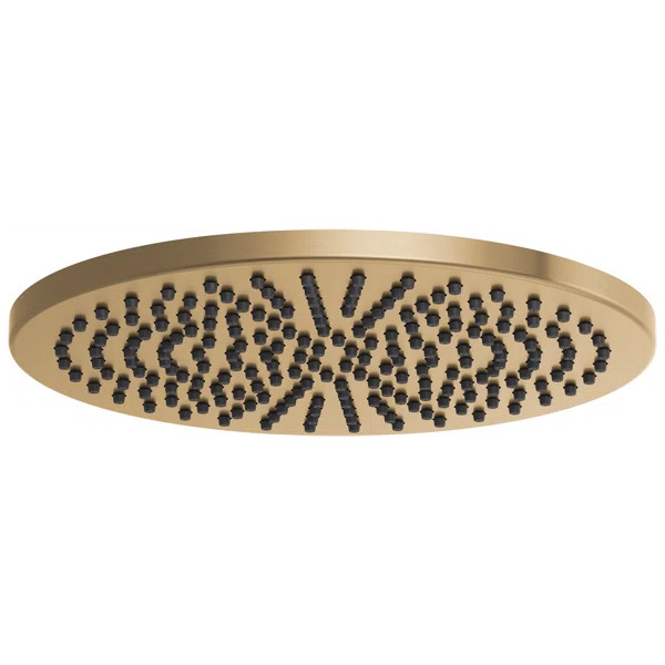 Essential™ Rain Adjustable Shower Head | Wayfair North America