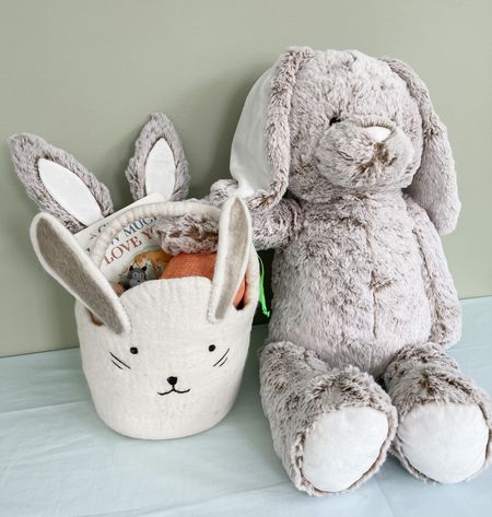Easter basket for baby

#LTKSeasonal #LTKkids #LTKGiftGuide