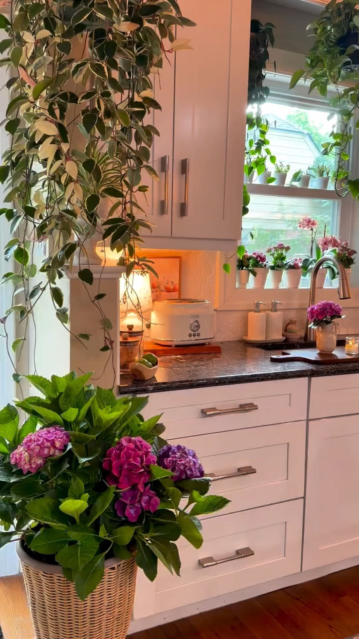 Slow morning in my kitchen 🥰