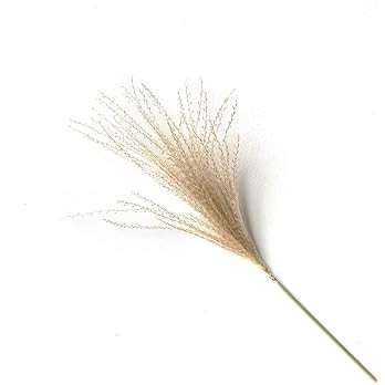 Amazon.com: 50 PCS Natural Small Pampas Grass,Dried Reed Plumes, Phragmites Communis,Wedding Decorat | Amazon (US)
