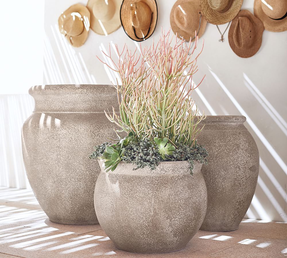 Azina Planters | Pottery Barn (US)