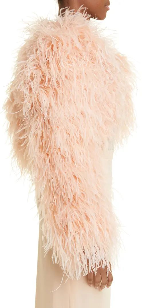 Dolce&Gabbana Ostritch Feather Bolero Jacket | Nordstrom | Nordstrom