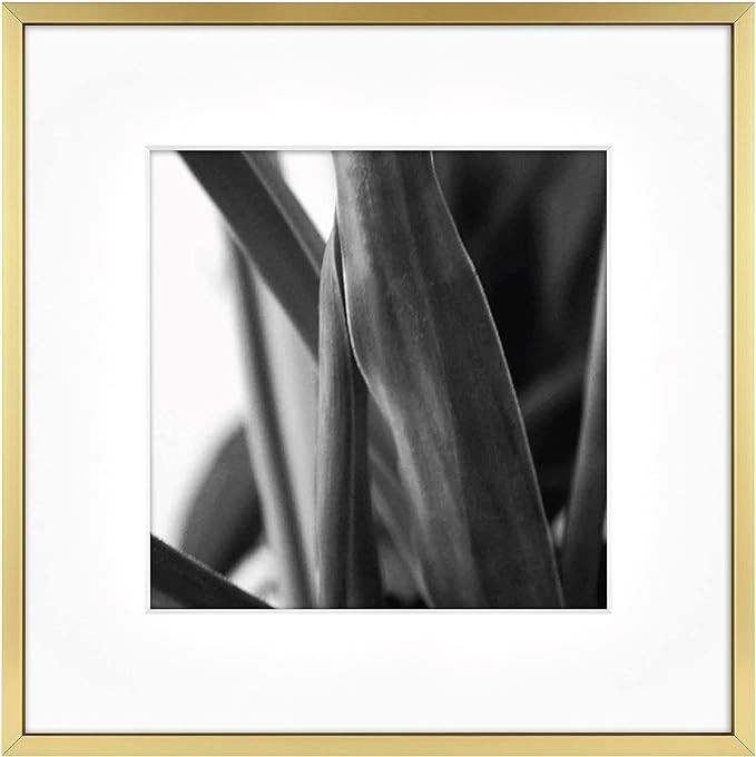 MCS Master & Co. Foundry Metal Gallery Wall Frame, Brass, 12 x 12 in matted to 8 x 8 in | Amazon (US)