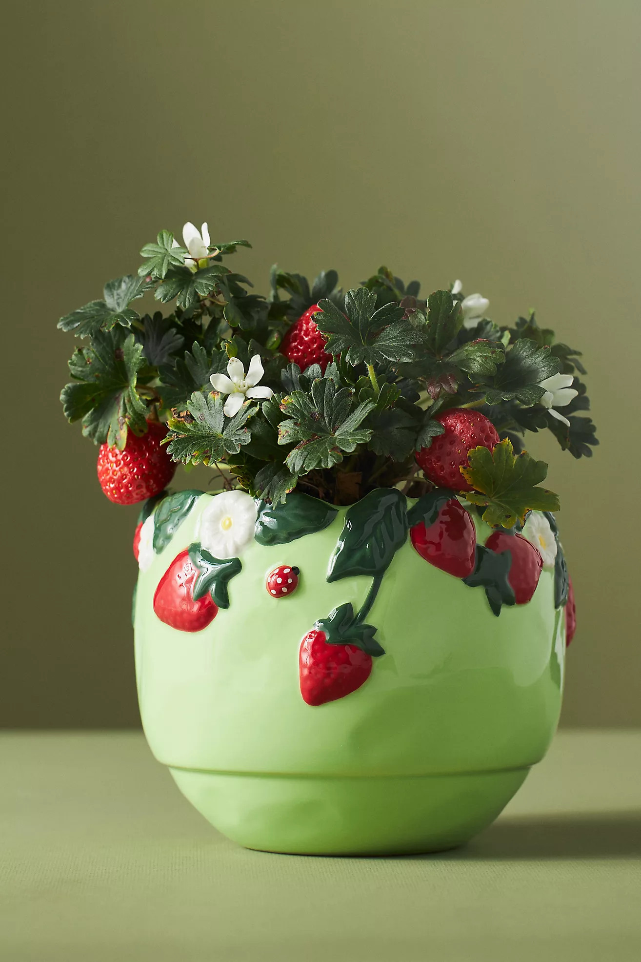 Foster Icon Stoneware Pot | Anthropologie (US)