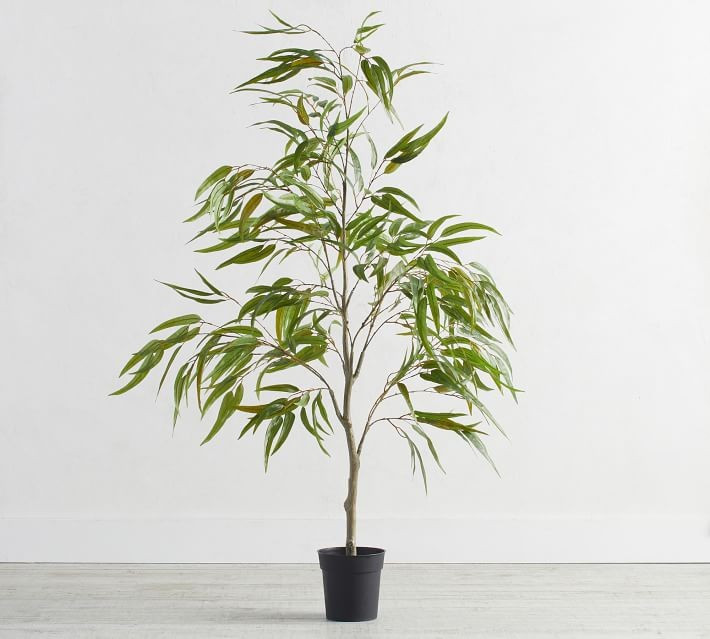 Faux Potted Eucalyptus Tree | Pottery Barn (US)