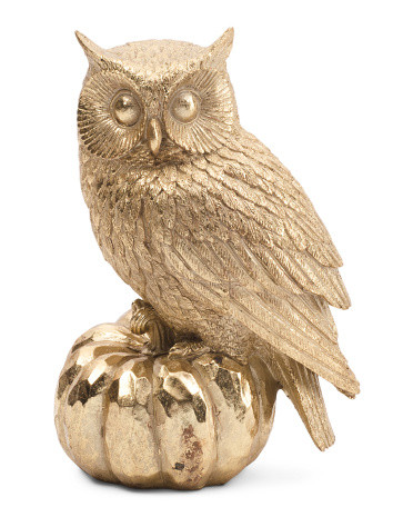10in Owl On Pumpkin Statue | TJ Maxx