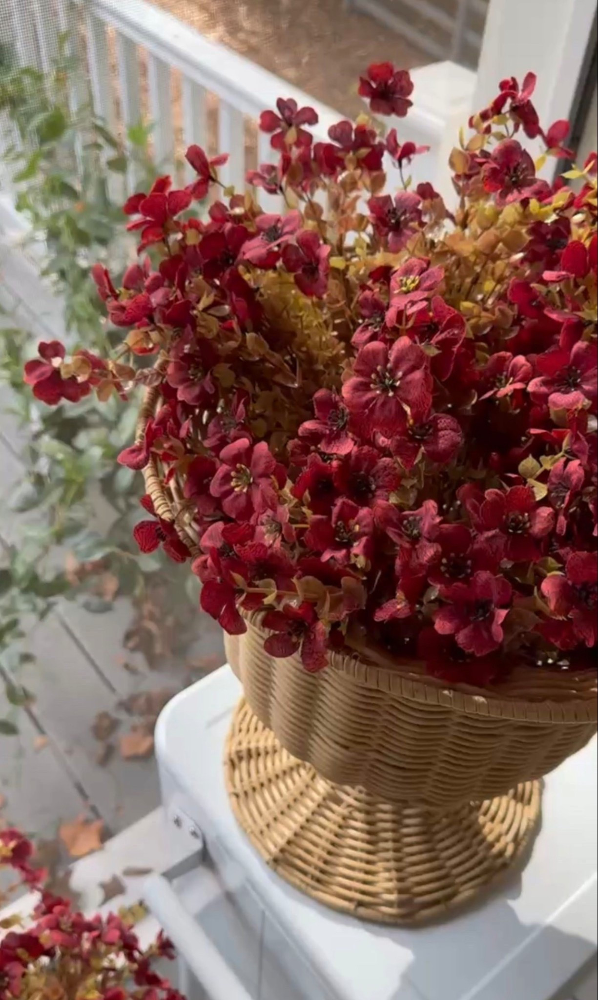 A simple fall touch that makes such a statement 🍂🌿 This red faux floral arrangement styled in a woven wicker basket planter is perfect for adding warmth to a front porch, entryway, or outdoor table. The rich burgundy and autumn tones pair beautifully with white porch railings, neutral decor, and natural textures—an easy way to elevate your seasonal home decor without overpowering the space.

#eanesinteriors #falldecor #fallflorals #fauxflowers #wickerbasket #wovenbasket #porchdecor #outdoordecor #entrywaydecor #seasonaldecor #autumndecor #neutralhome #homedecor #ltkhome #ltkdecor

#LTKOver40 #LTKSeasonal #LTKHome