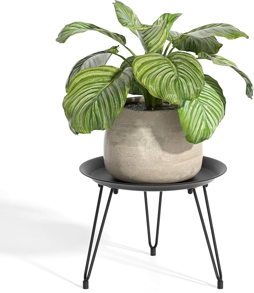 SUEH DESIGN Plant Stand Indoor, Metal Plant Stand Round Plant Table Heavy Duty Plant Stool Flower... | Amazon (US)