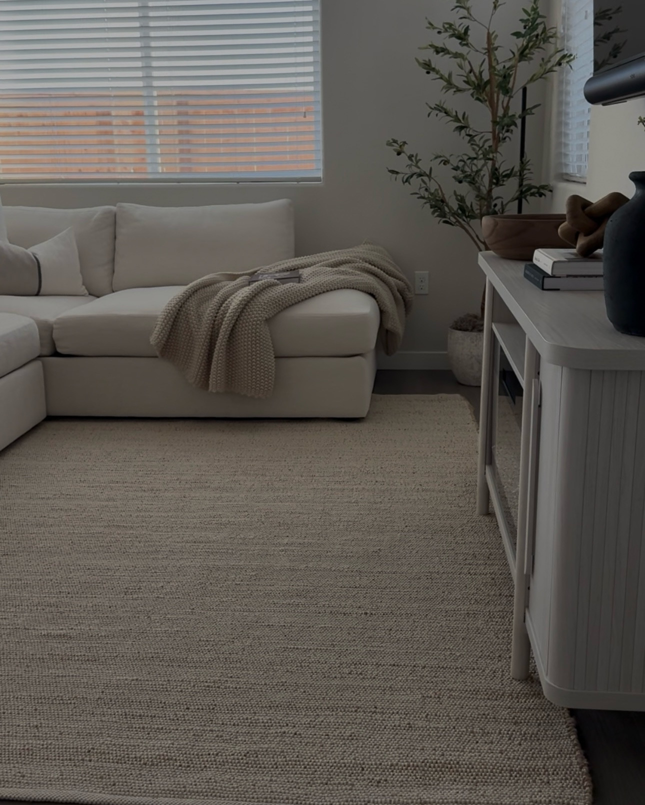 Amazon Neutral Jute Rug

The perfect modern organic rug that adds the perfect textile & warmth to my living room! Non-shedding, Non-slip, No odor, super soft & comfortable made with 60% jute & 30% cotton 

#LTKStyleTip #LTKFamily #LTKHome