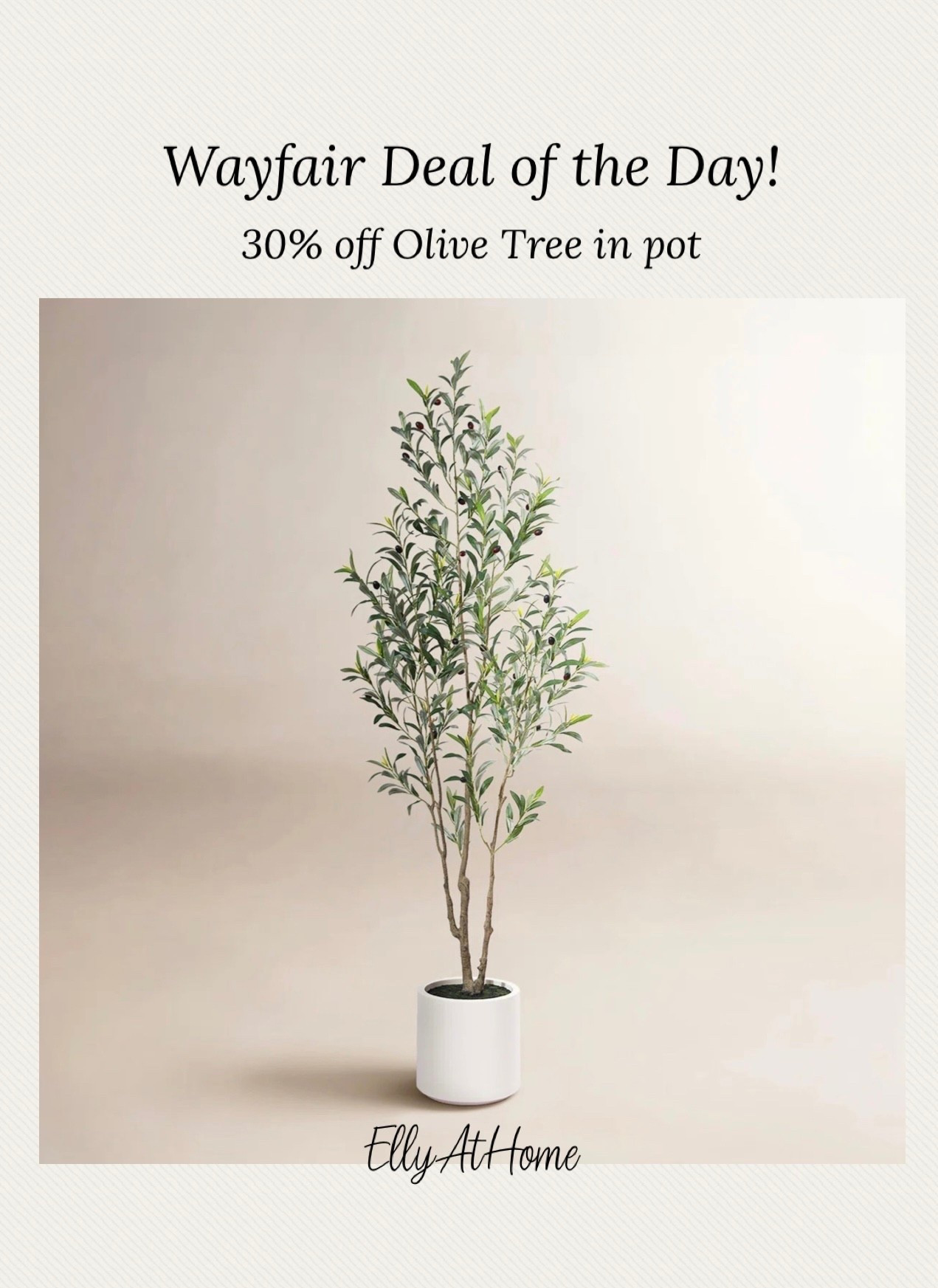 Wayfair deal of the day! Shop soon! 30% off versatile for any space in your home, 72” olive tree in white planter, available in more sizes! @Wayfair 

#LTKHome #LTKSaleAlert