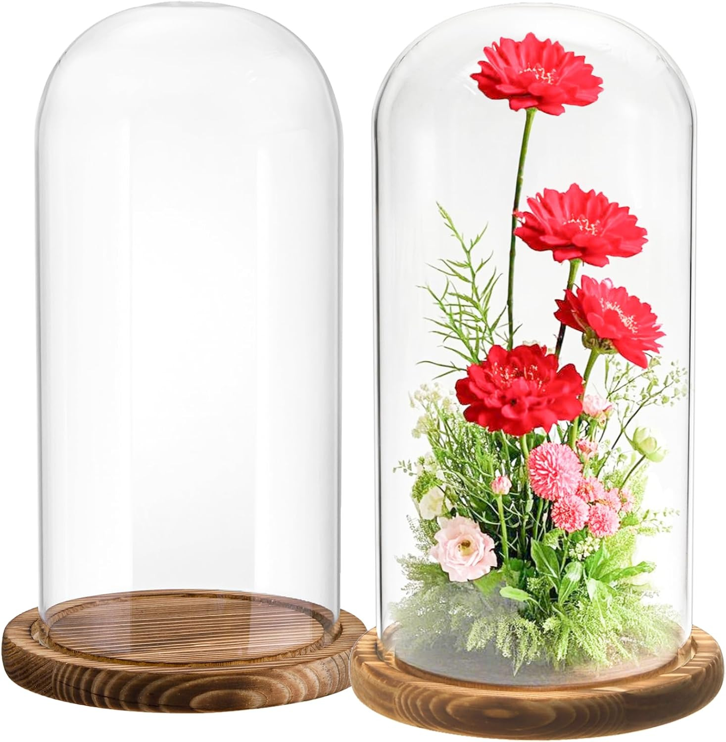 Mezchi 2 Pack Glass Cloche Display Dome, 9.8x4.7 inch Decorative Glass Display Bell Jar, Clear Glass Dome Showcase with Dark Brown Wooden Base, for Plants, Medals, Photos, Antique Collectibles, Toys | Amazon (US)